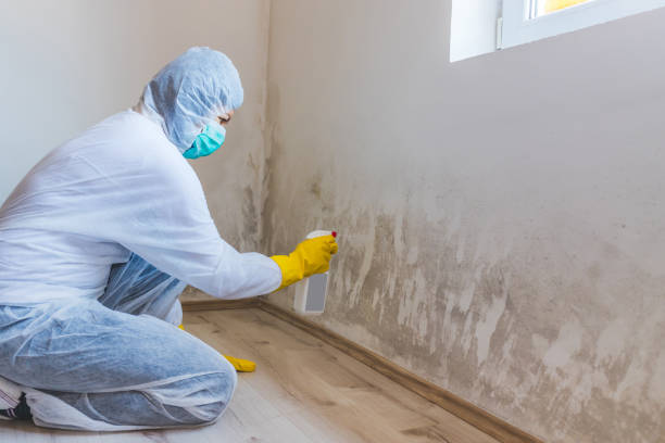 Licensed Crawl Space Mold Removal service in Englishtown, NJ - WQB Mold Removal