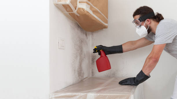 Professional Crawl Space Mold Removal technician working in Englishtown, NJ