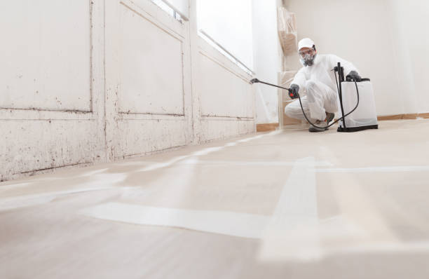 Trusted Crawl Space Mold Removal service in Englishtown, NJ - WQB Mold Removal