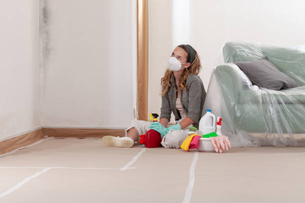 Reliable Crawl Space Mold Removal contractor in Englishtown, NJ by WQB Mold Removal